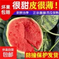 美都麒麟西瓜净重4-6斤 12.9元，美都麒麟西瓜净重7-9斤 18.8元