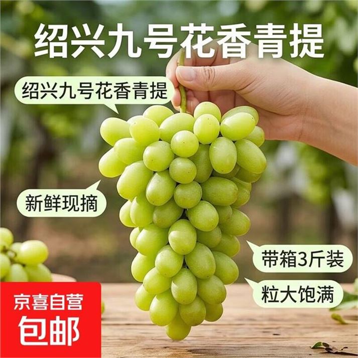 京喜自营绍兴九号青提带箱3斤 16.9元 - 86线报