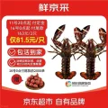 鲜京采鲜活波士顿龙虾净重400g-500g/只*2只 163元
