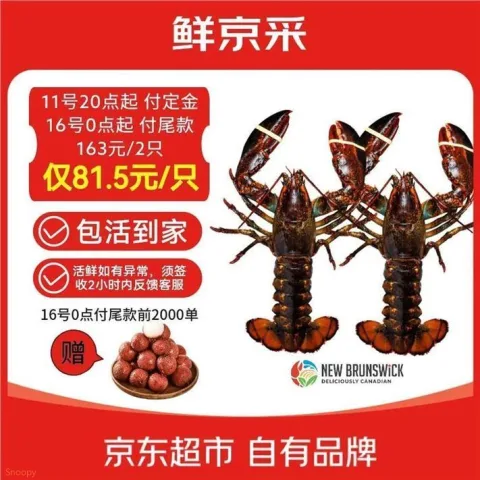 鲜京采鲜活波士顿龙虾净重400g-500g/只*2只 163元