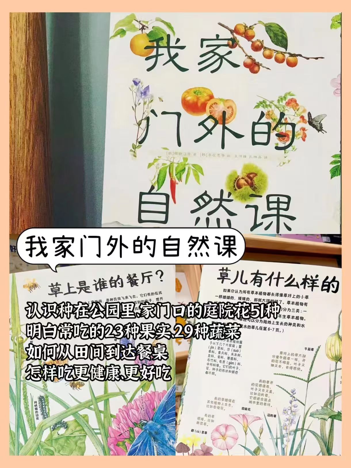 我家门外的自然课修订版全4册 31.5元 - 86线报