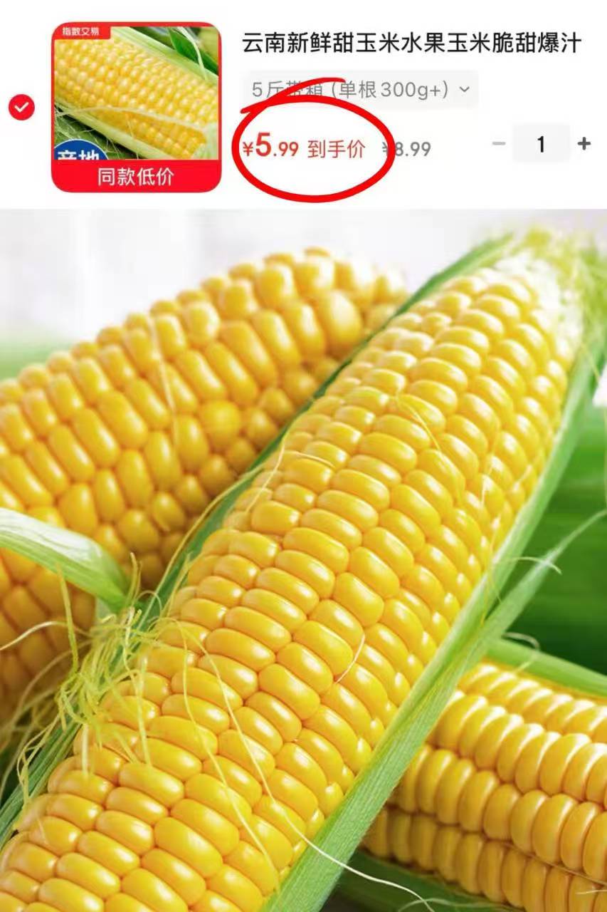 新鲜甜玉米带箱5斤 5.99元 - 86线报