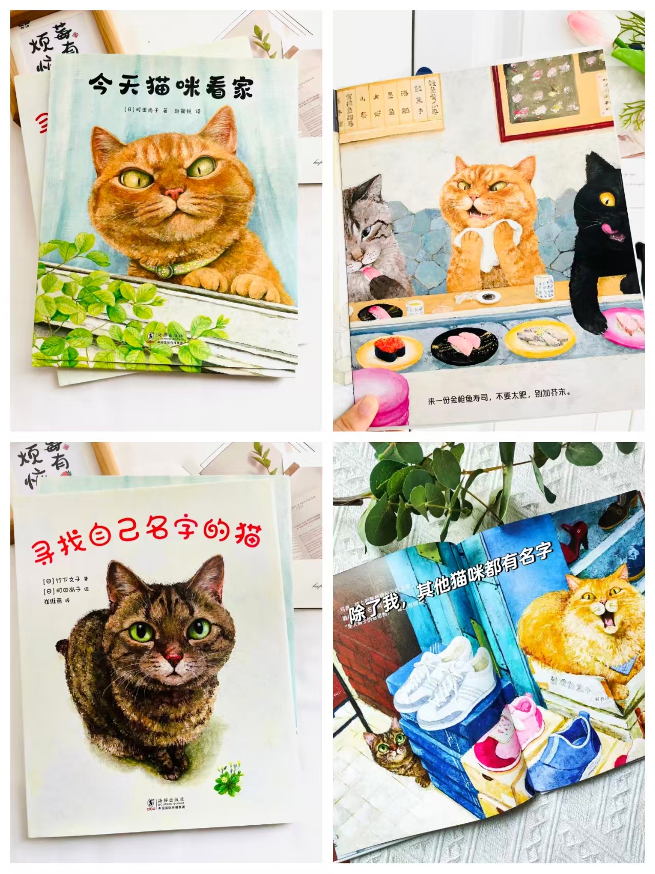 萌化你的心绘本系列今天猫咪看家+寻找自己名字的猫2册 35.9元 - 86线报