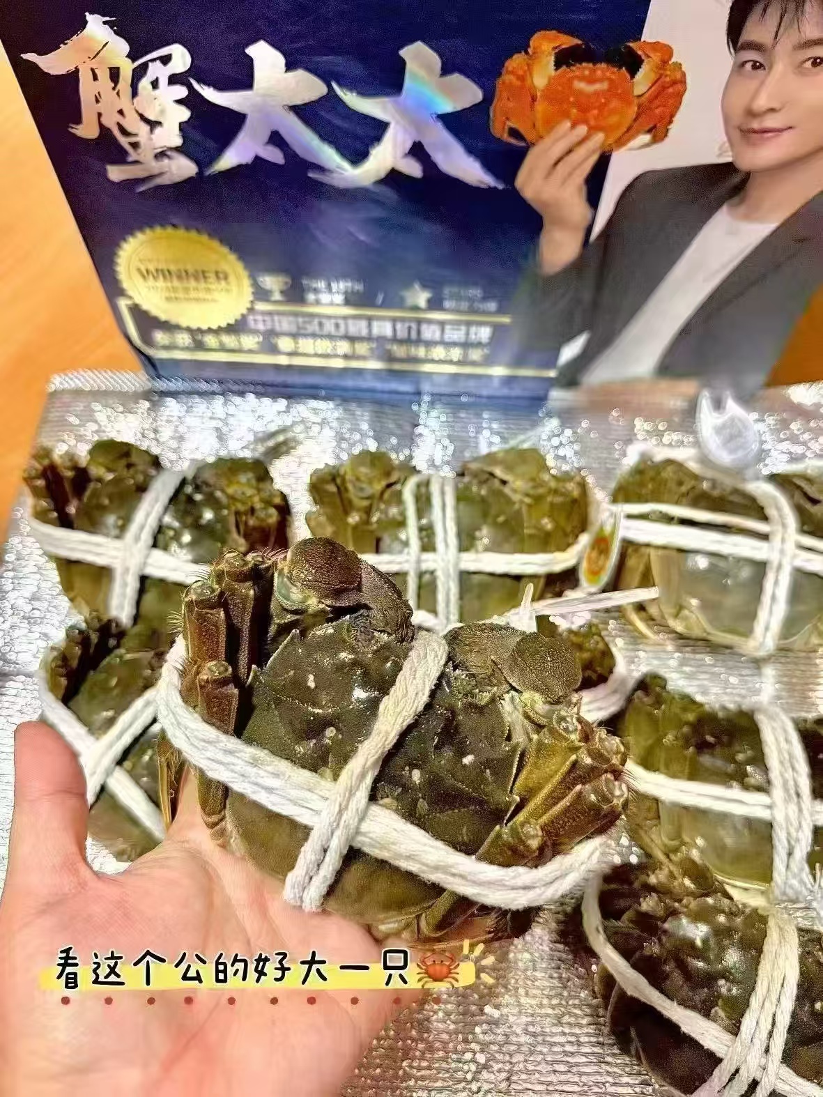 蟹太太大闸蟹卡卷大闸蟹8只公3.5两4只+母2.5两4只 194元 - 86线报