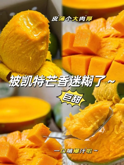 新鲜凯特芒芒果净重9.5斤 19.8元 - 86线报