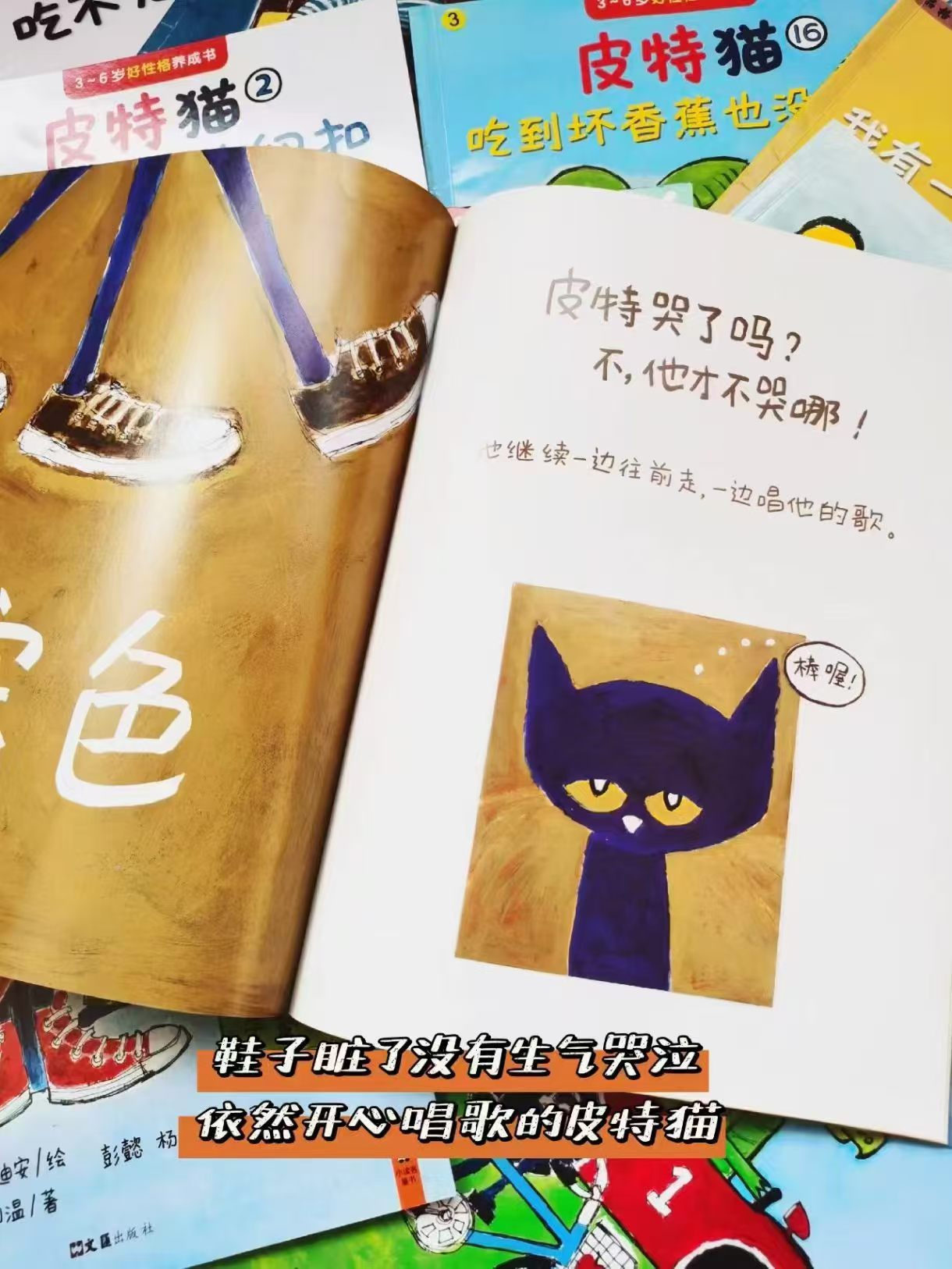 皮特猫好性格养成绘本套装共20册 121元 - 86线报