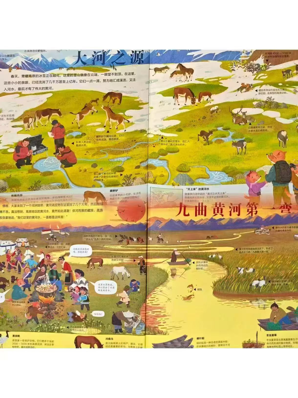中国人的母亲河黄河5-8岁plus精装 31元，狐狸家大开本全景百科 9.5元 - 86线报