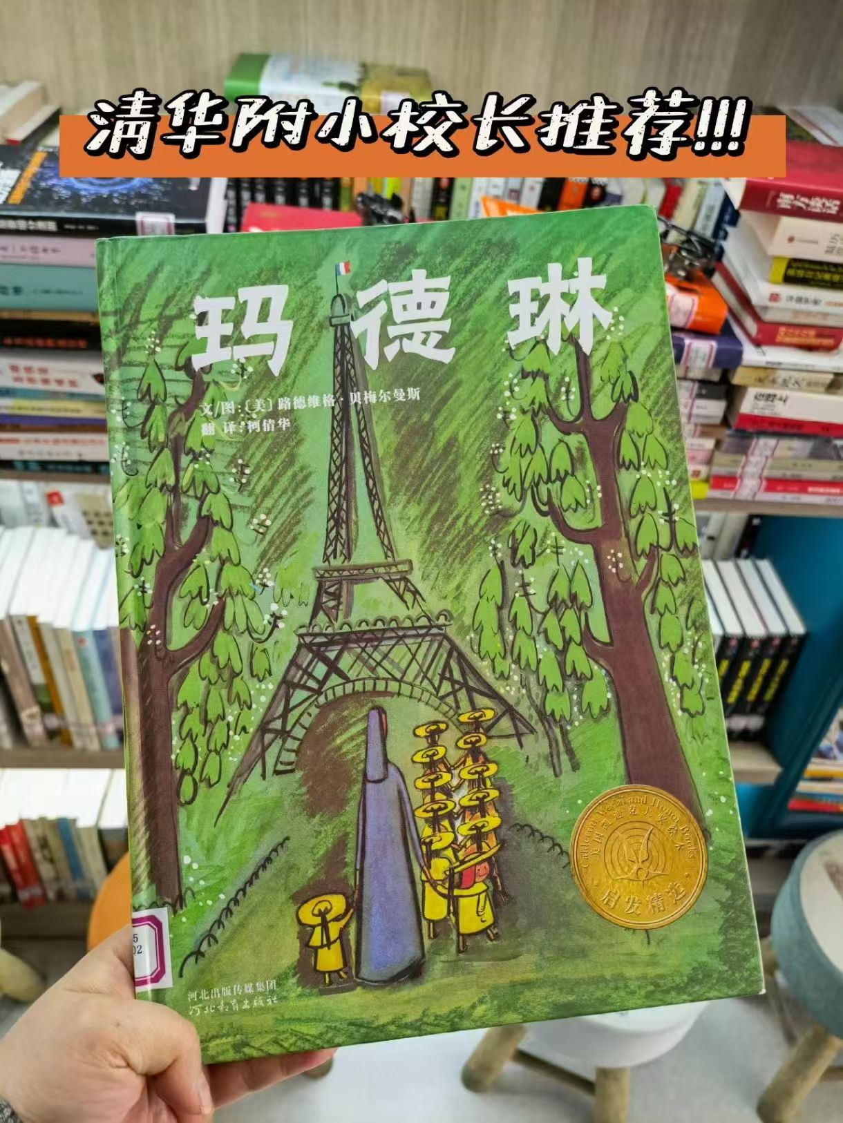 玛德琳凯迪克大奖 12元 - 86线报