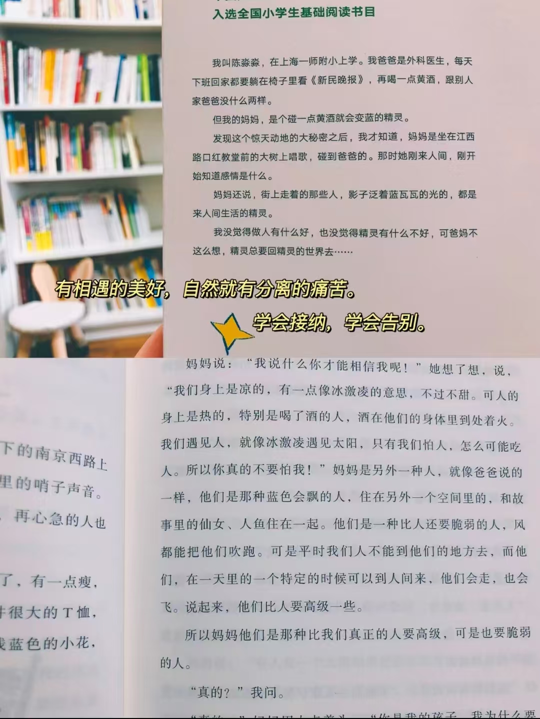 我的妈妈是精灵小学生适读 17.5元 - 折送网