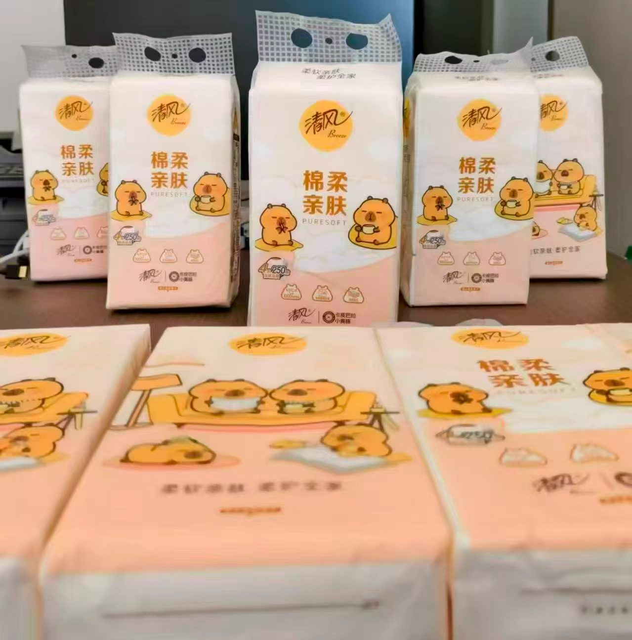 清风卡皮巴拉悬挂式抽纸250抽×10大提 24.9元 - 线报酷