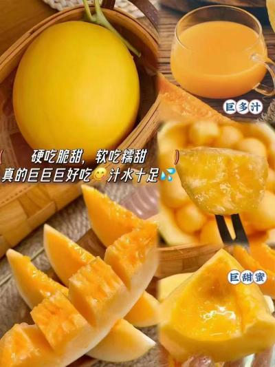 百果园民勤金红宝蜜瓜8-9斤 29.9元 - 线报酷