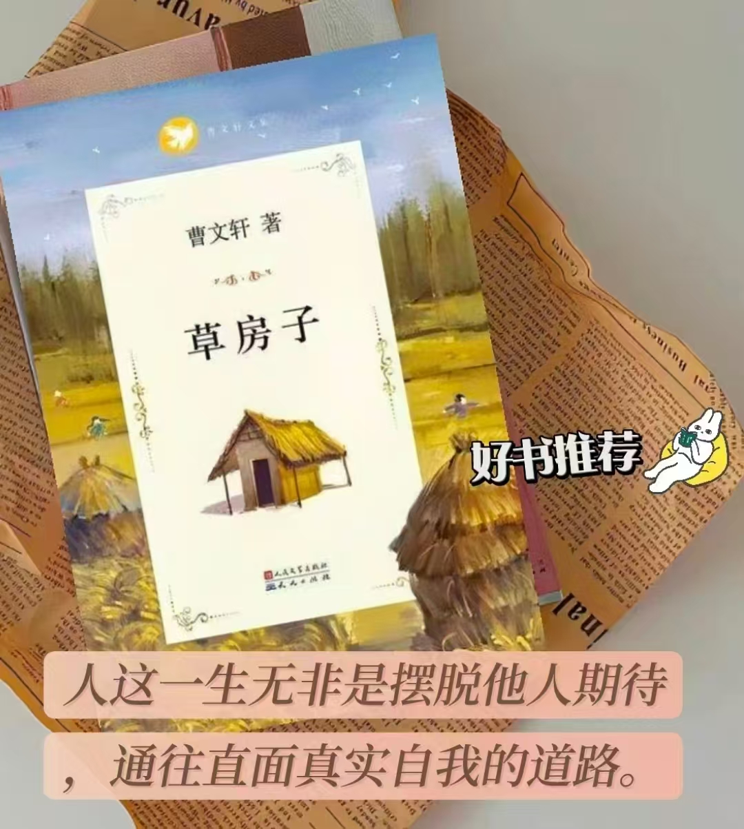 没头脑和不高兴注音版 8元，狼王梦沈石溪动物小说 8.3元，草房子 5.9元，青铜葵花 6.1元 - 86线报