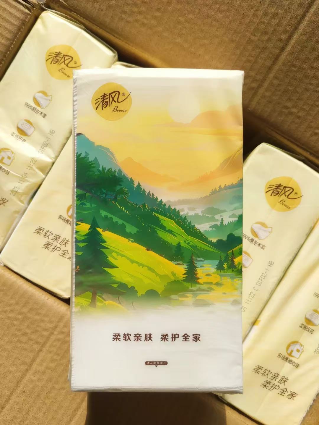 清风悬挂抽纸拍2件10大提 24.9元 - 86线报