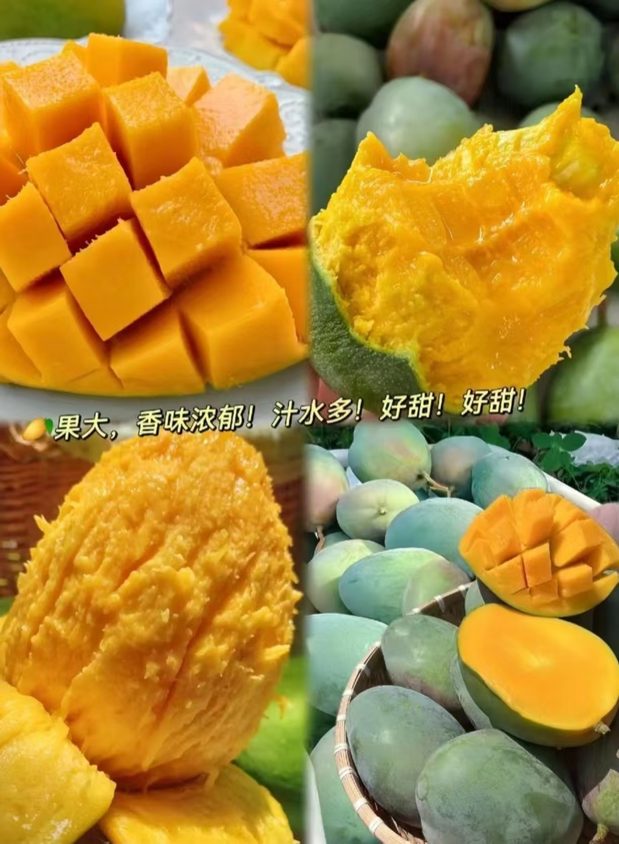 正宗攀枝花凯特芒果整箱5斤装 5.8元，正宗攀枝花凯特芒果9-10斤大果 12.5元 - 线报酷