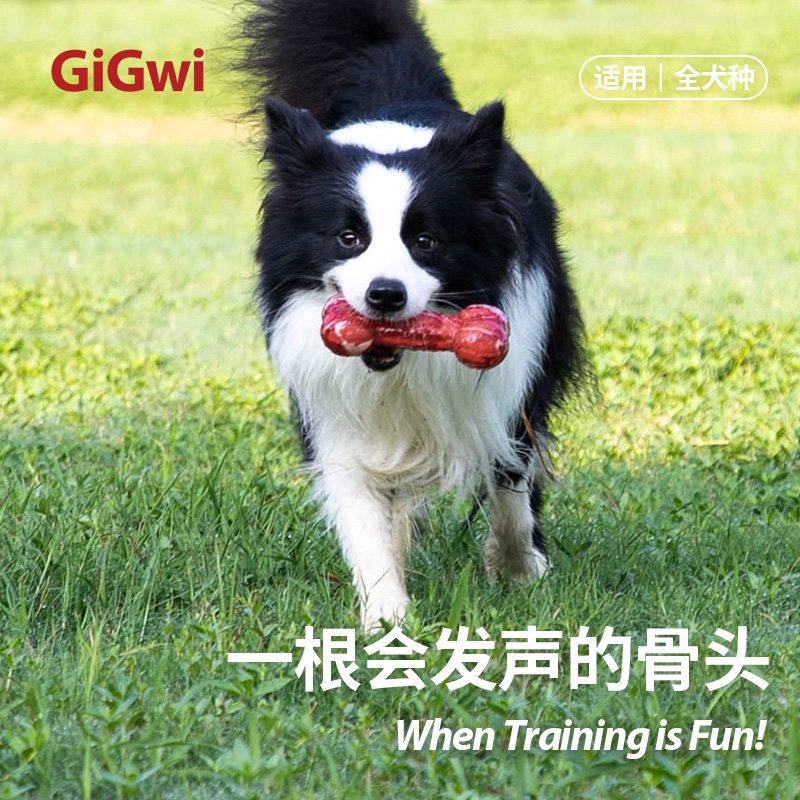 淘宝GiGwi贵为旗舰店狗狗玩具发声骨头耐咬泰迪金毛柯基自嗨解闷神器 17元 - 线报酷