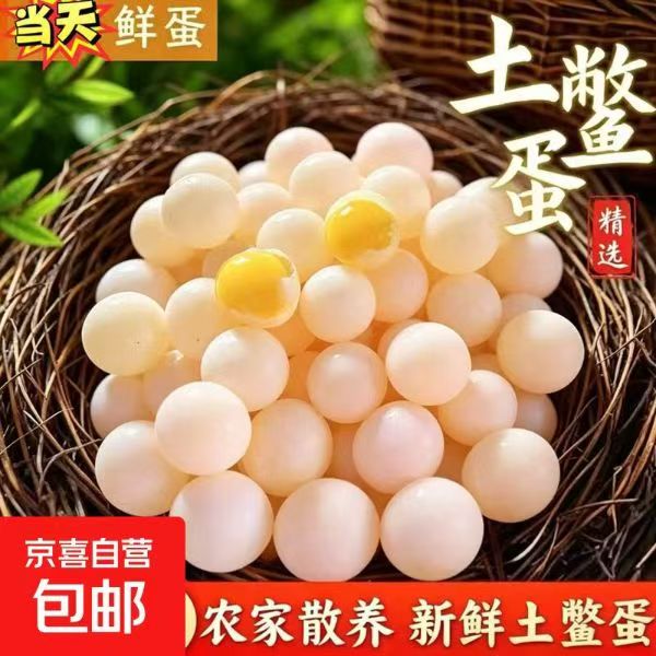 新鲜甲鱼蛋共120枚 19.9元 - 86线报