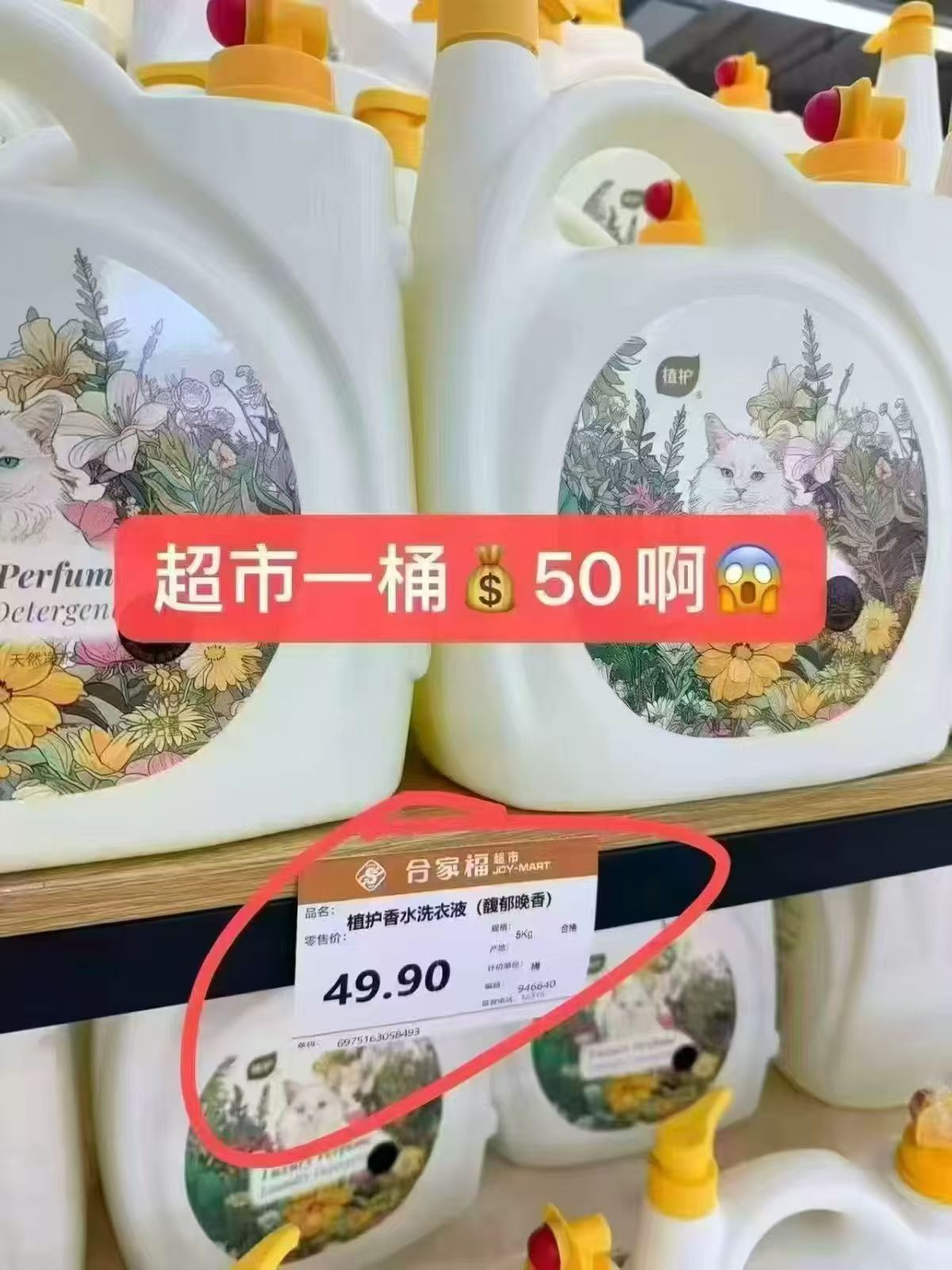 植护香氛洗衣液拍1发10斤 29.9元 - 86线报