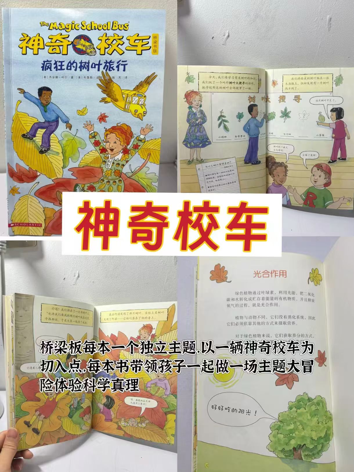 神奇校车桥梁书点读版套装全20册 赠1本科普知识拓展手册 79元 - 86线报