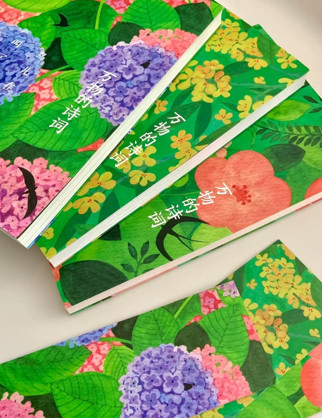 万物的诗词全三册赠笔记本 51.7元 - 86线报