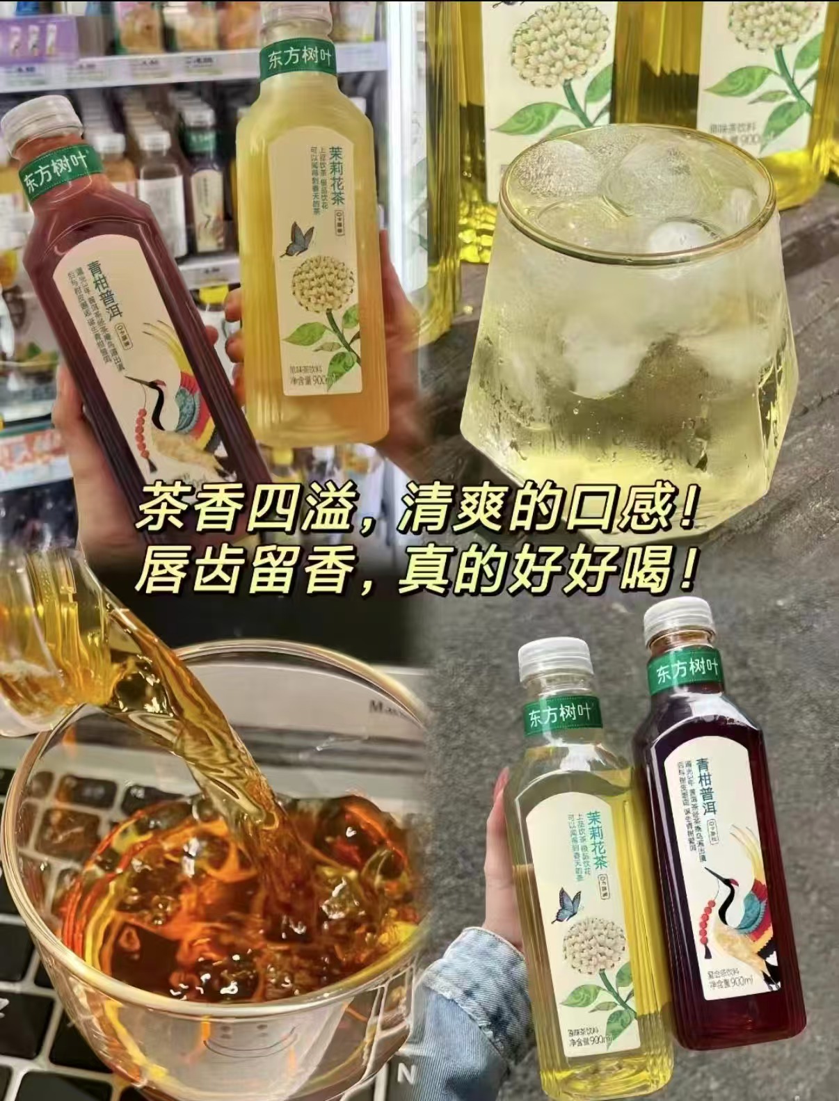 东方树叶500ml多口味茉莉花茶+青柑普洱茶+乌龙茶+绿茶+红茶拍8瓶 - 86线报