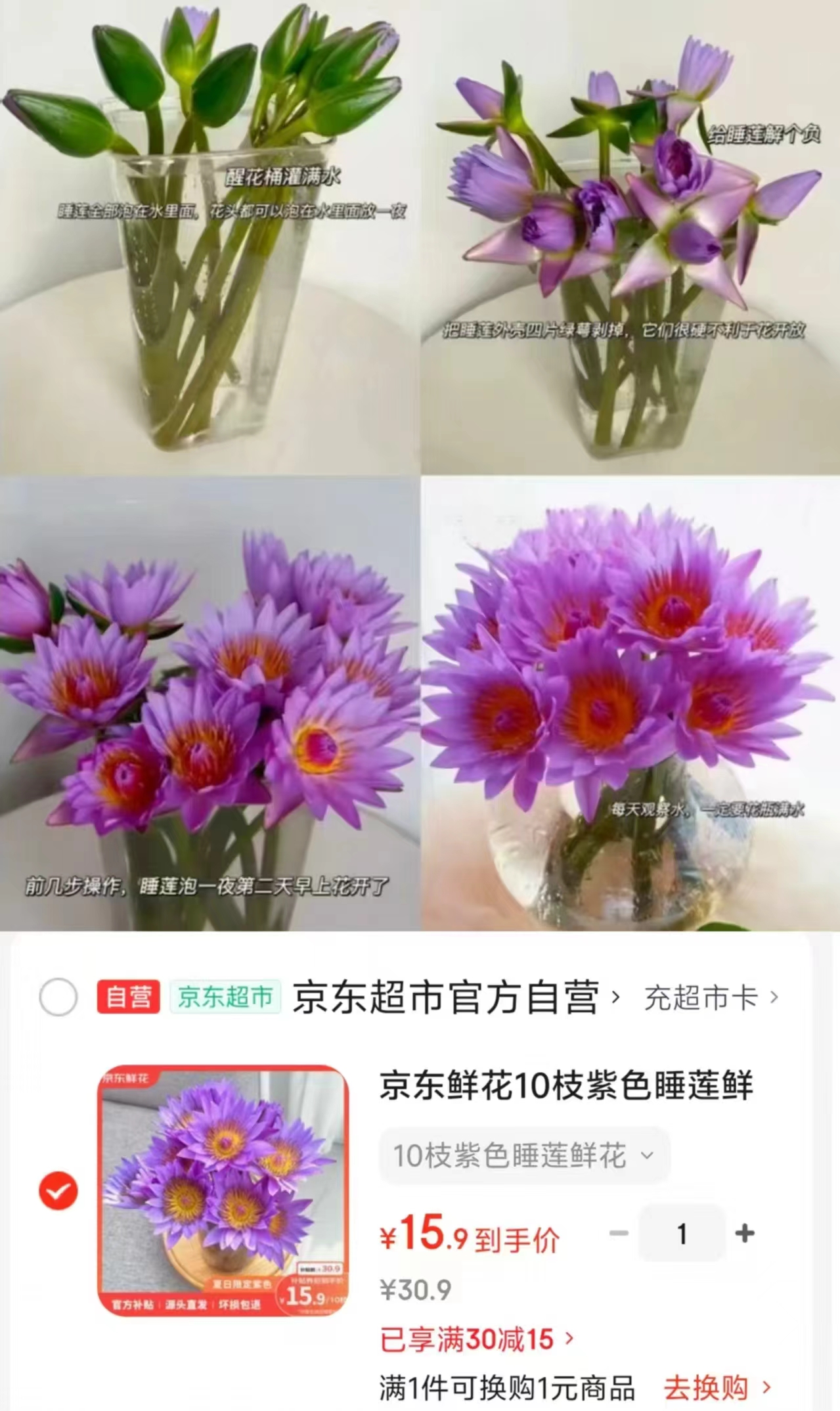 亰东鲜花紫色睡莲10枝 15.9元 - 86线报
