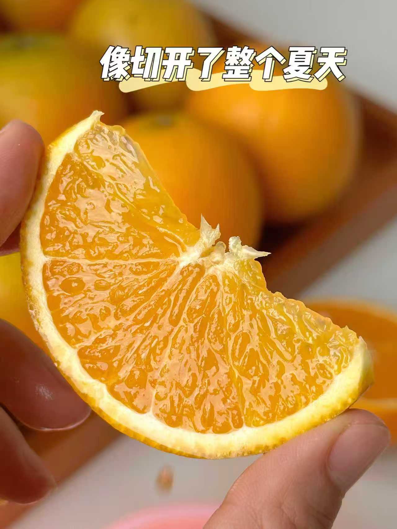 京鲜生湖北夏橙净重10斤大小果混发 19.9元 - 86线报 京鲜生湖北夏橙净重10斤大小果混发 19.9元 - 86线报