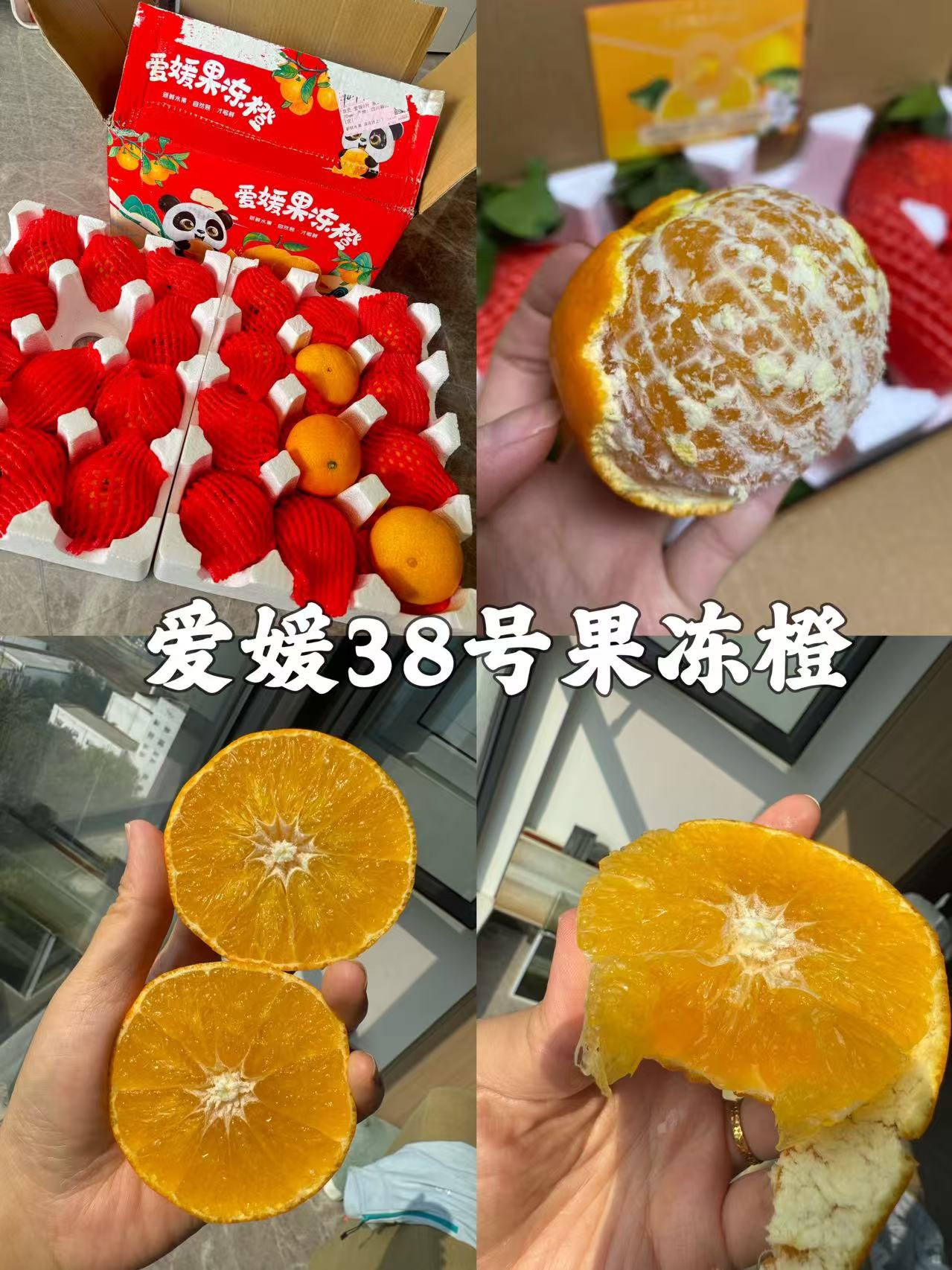 赵小墩爱媛38号果冻橙4.5斤 11元 - 86线报 赵小墩爱媛38号果冻橙4.5斤 11元 - 86线报