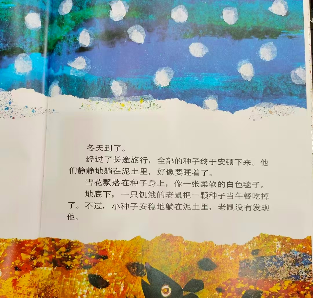 小种子 16.7元 - 86线报