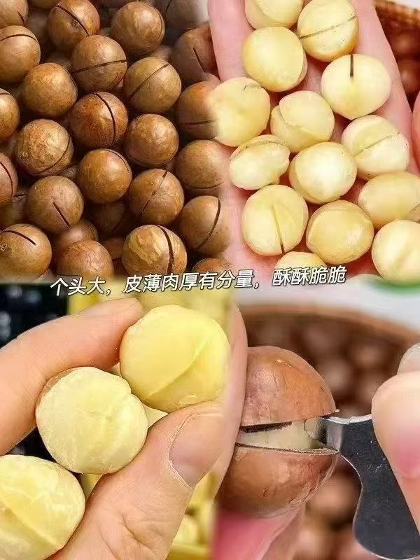 沃隆福瑞满堂坚果礼盒拍1含赠发11罐 136.9元 - 线报酷 沃隆福瑞满堂坚果礼盒拍1含赠发11罐 136.9元 - 线报酷