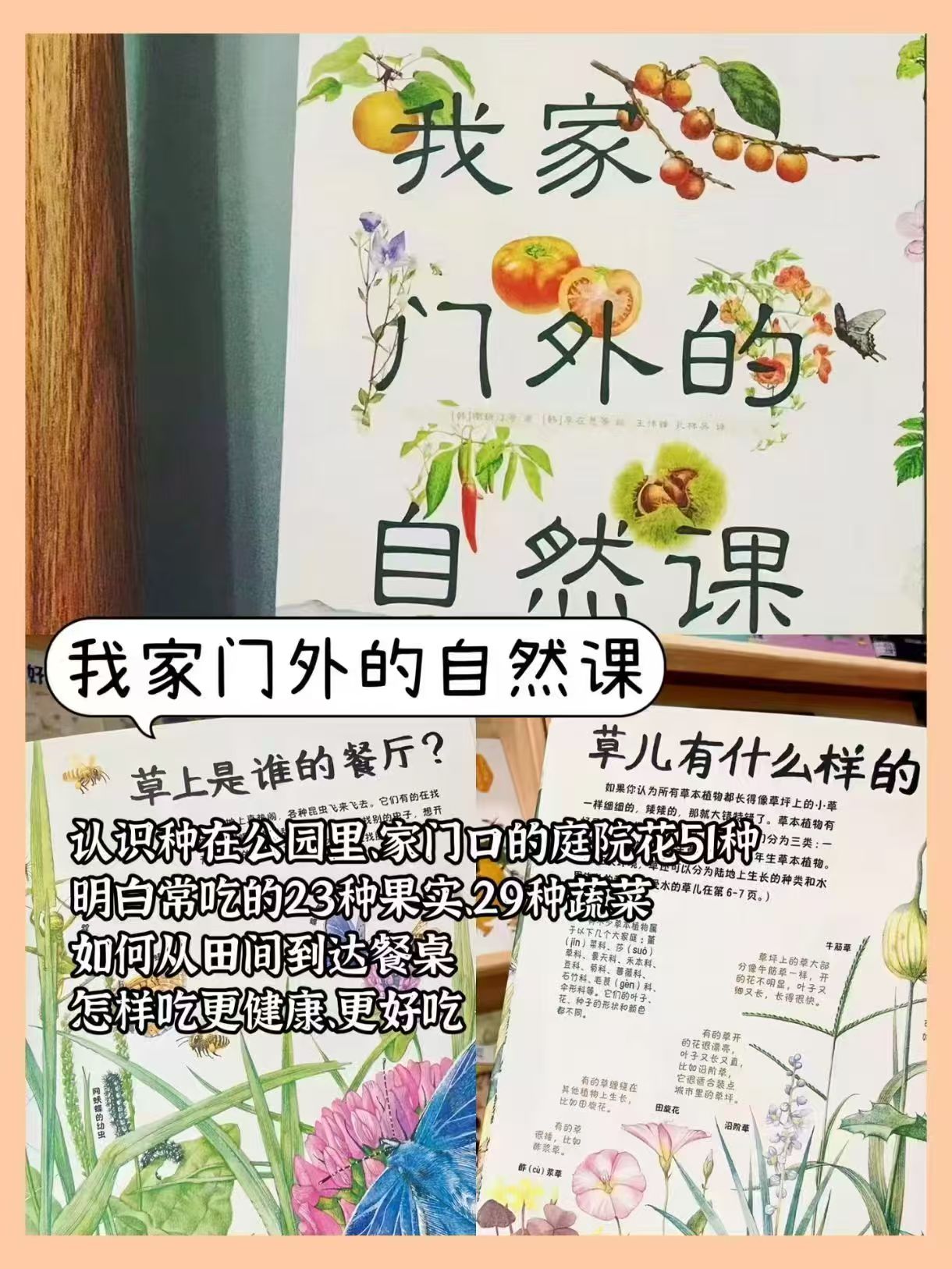 我家门外的自然课修订版全4册 26.5元 - 86线报