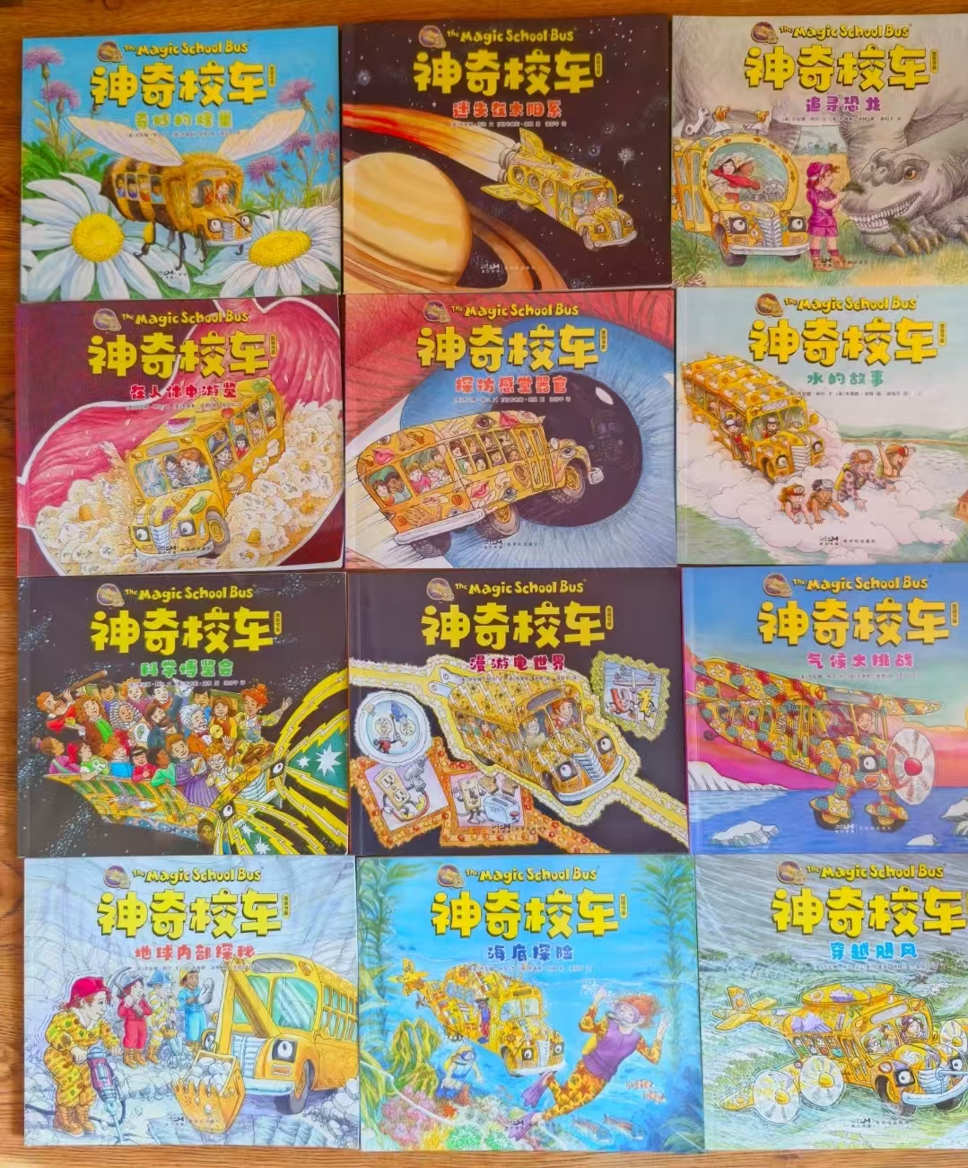 神奇校车图画书版全12册 72.3元 - 86线报