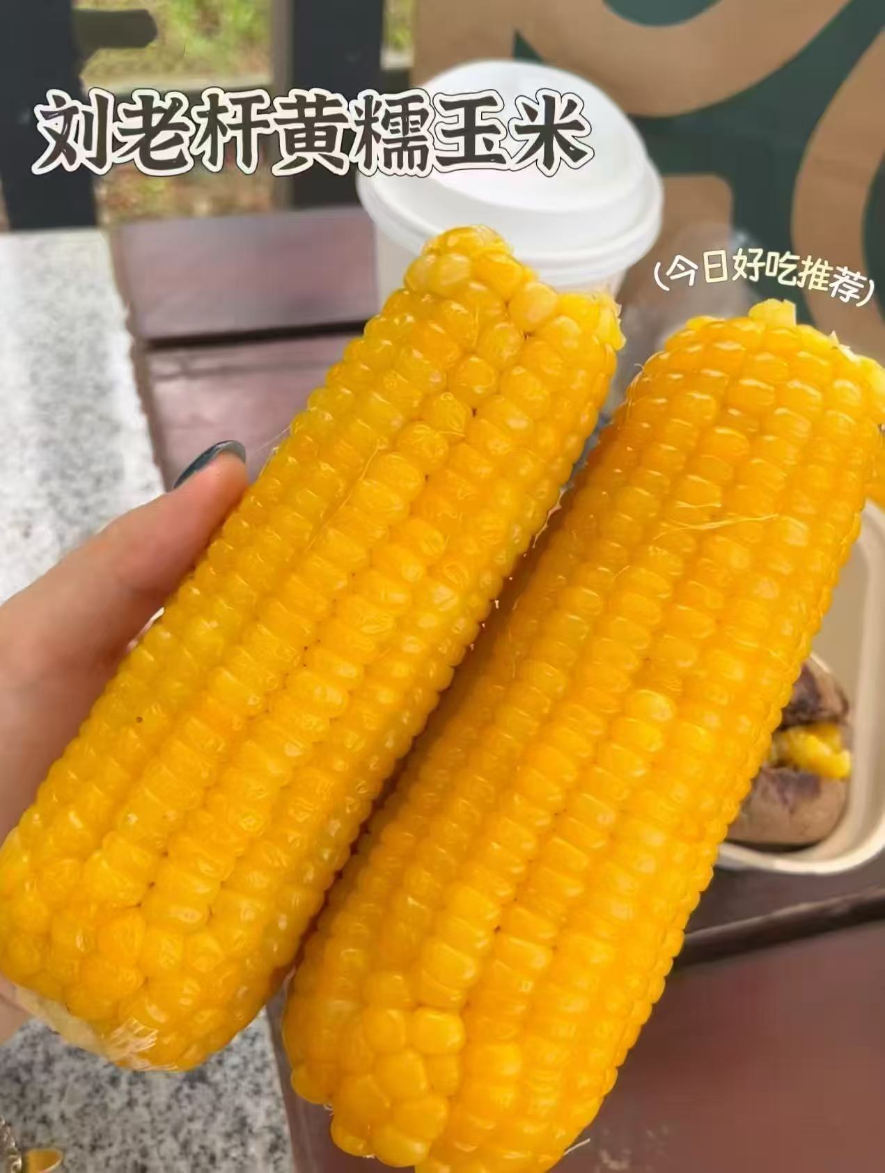 刘老杆黄糯玉米最多13根 16.9元 - 86线报