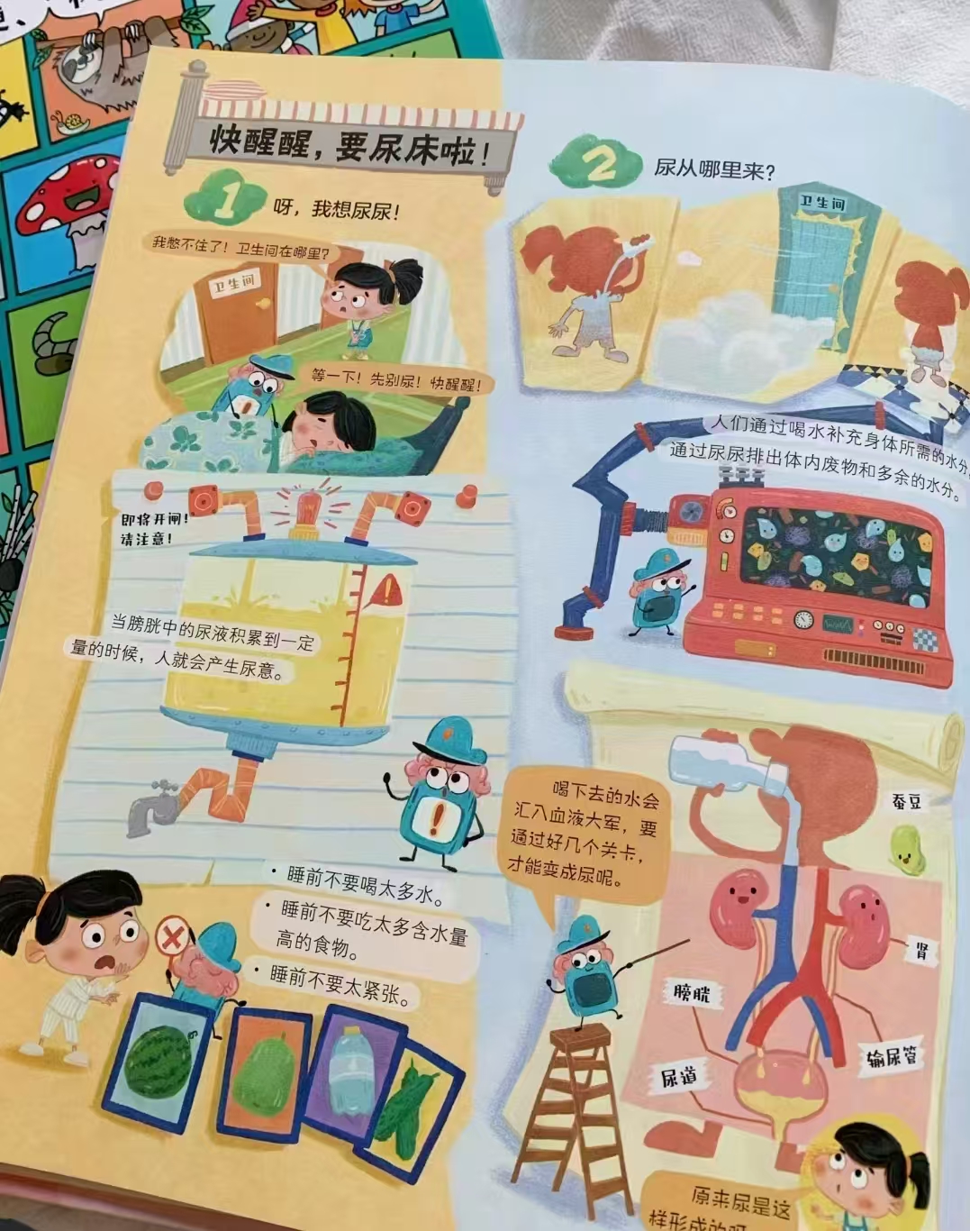 我的身体真奇妙精装绘本0-3岁身体启蒙亲子共读认识身体每个部位自我保护 8元 - 86线报