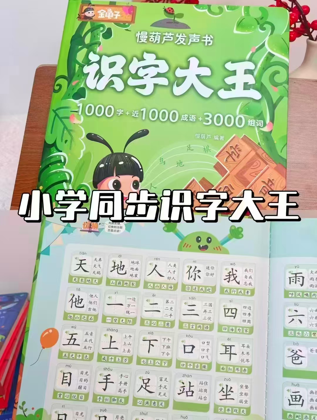 青葫芦识字大王发声书 59.9元 - 折送网