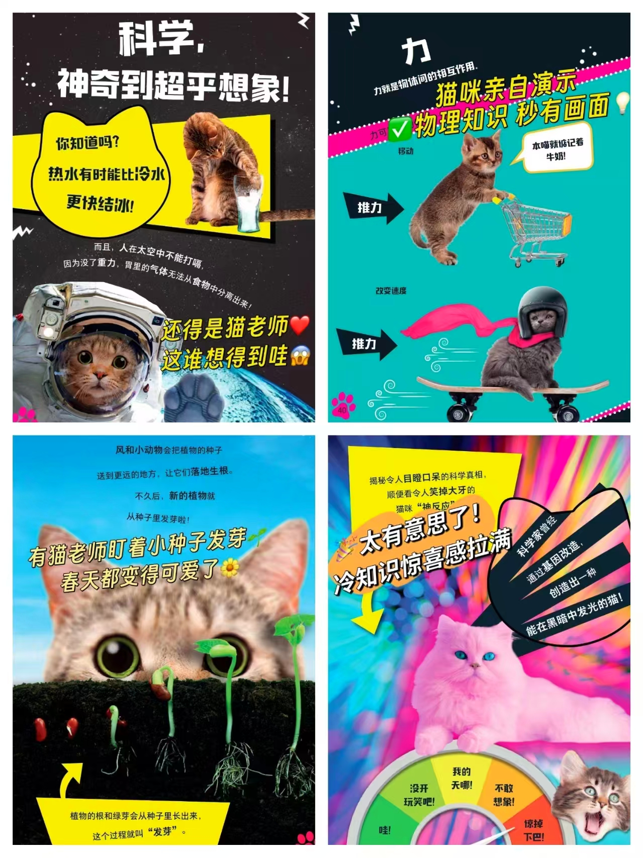 猫咪懂科学系列全3册 31元 - 86线报