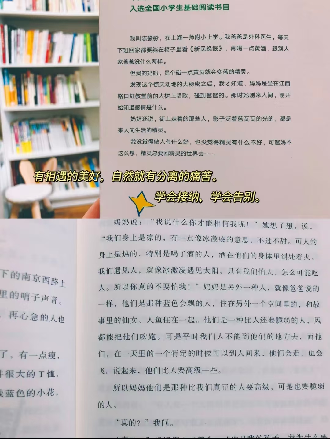 我的妈妈是精灵 17元 - 86线报 我的妈妈是精灵 17元 - 86线报