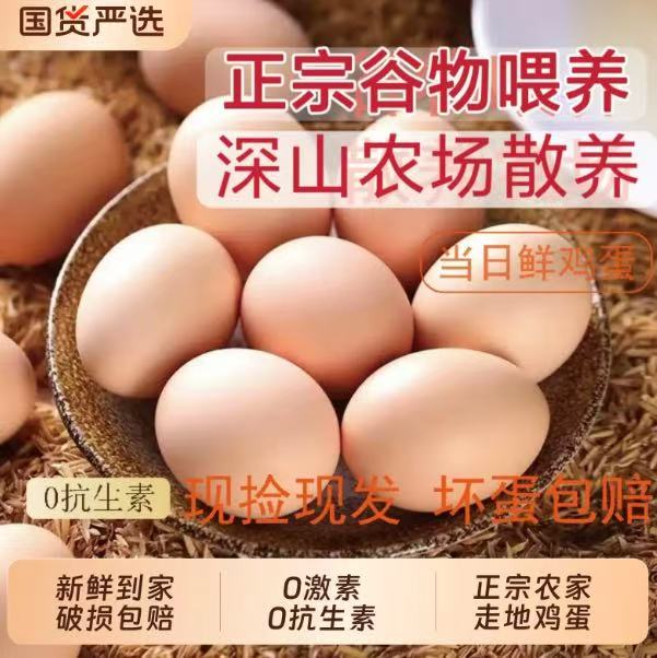 正宗农家散养新鲜土鸡蛋40g*30枚 19.9元 - 86线报