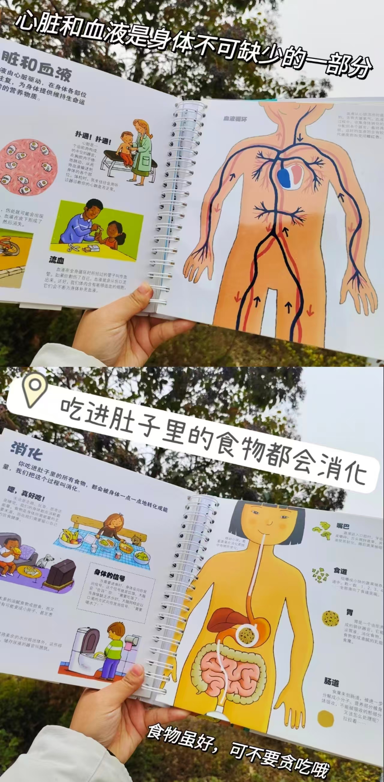 📚我们的身体3D立体书💰48 含崔玉涛亲授科学养育音频课 +原版身体启蒙动画课 - 线报酷 📚我们的身体3D立体书💰48 含崔玉涛亲授科学养育音频课 +原版身体启蒙动画课 - 线报酷