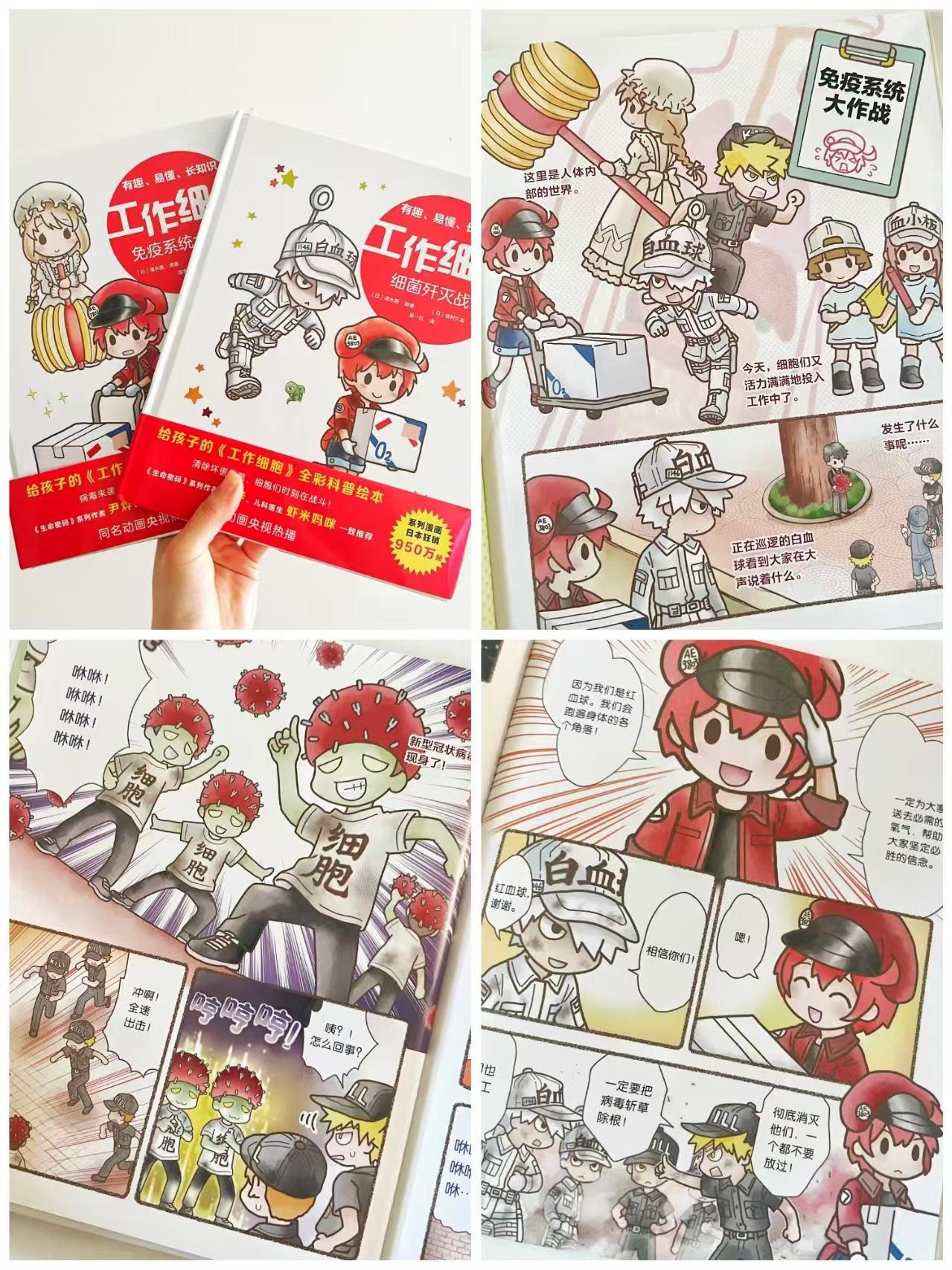 📚工作细胞系列科普绘本 ⭕️标题下领300-100卷 第一辑2册💰26 - 86线报