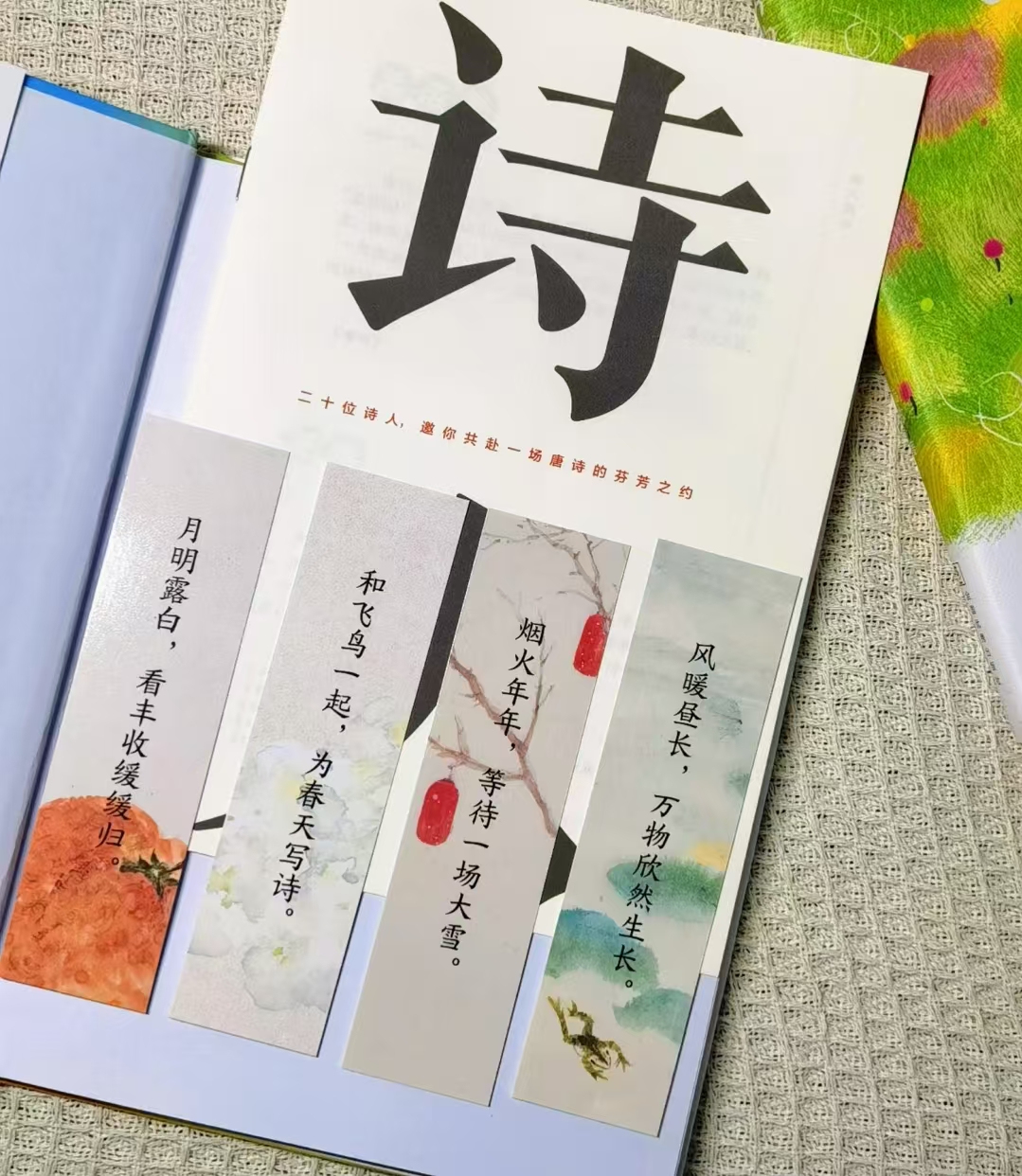 万物有诗·四时风物集共2册 赠互动透卡+便笺本+贴纸+亲签片+护书袋+手册+书签 48.4元 - 86线报