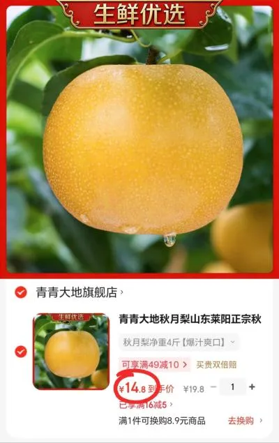 青青大地 秋月梨 净重4斤