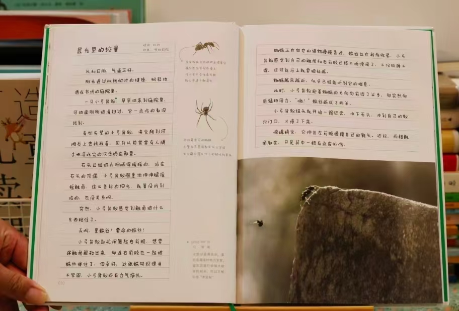 虫子旁 12元 - 线报酷 虫子旁 12元 - 线报酷