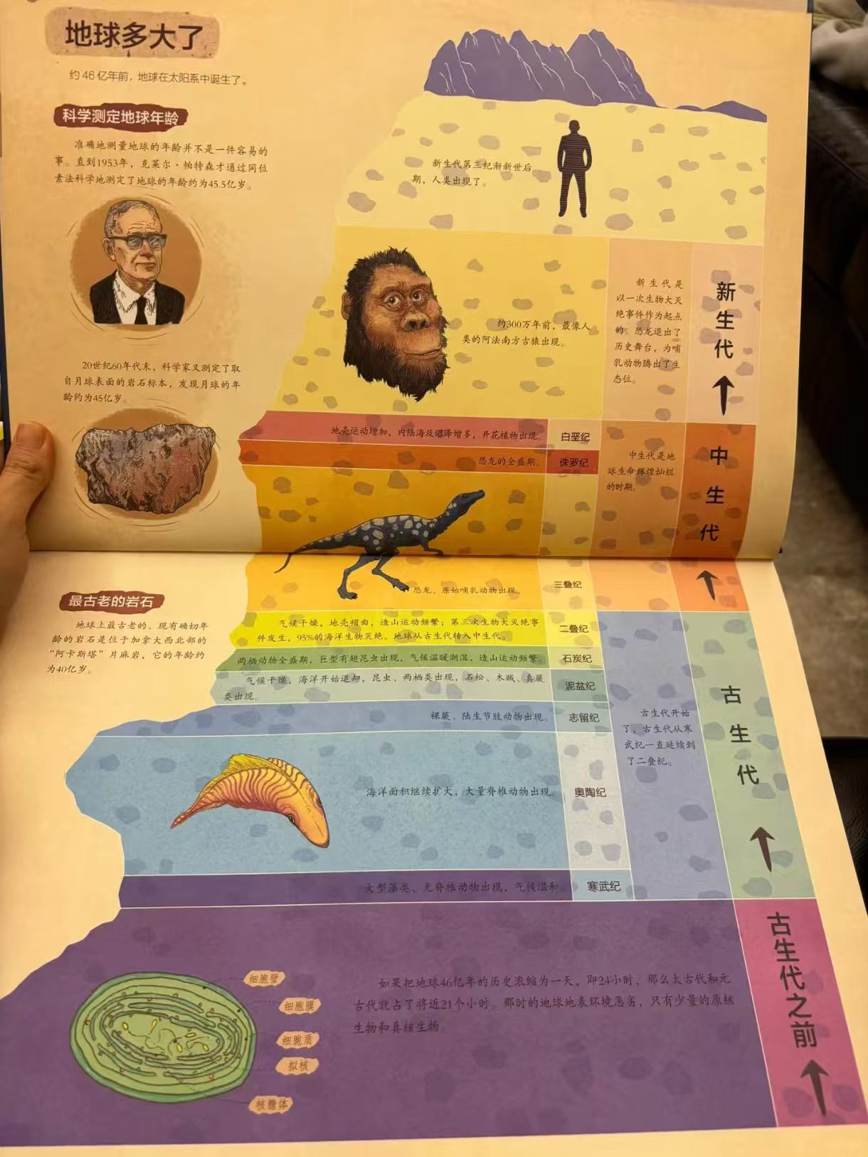 史前生物自然简史探索之旅精装大开本 35.1元 - 86线报
