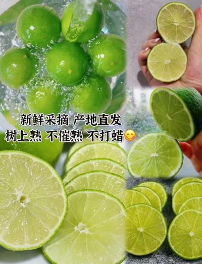 都乐Dole塔西提无籽柠檬5-9粒 9.9元 - 86线报