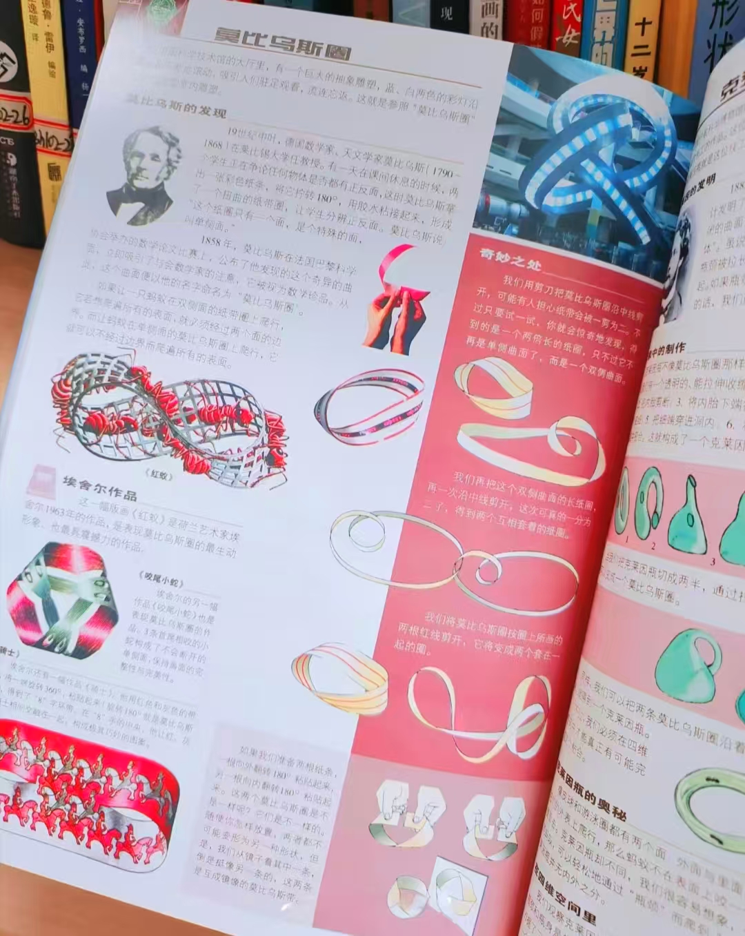 趣味数学百科图典 赠数学年表 23.1元 - 86线报 趣味数学百科图典 赠数学年表 23.1元 - 86线报