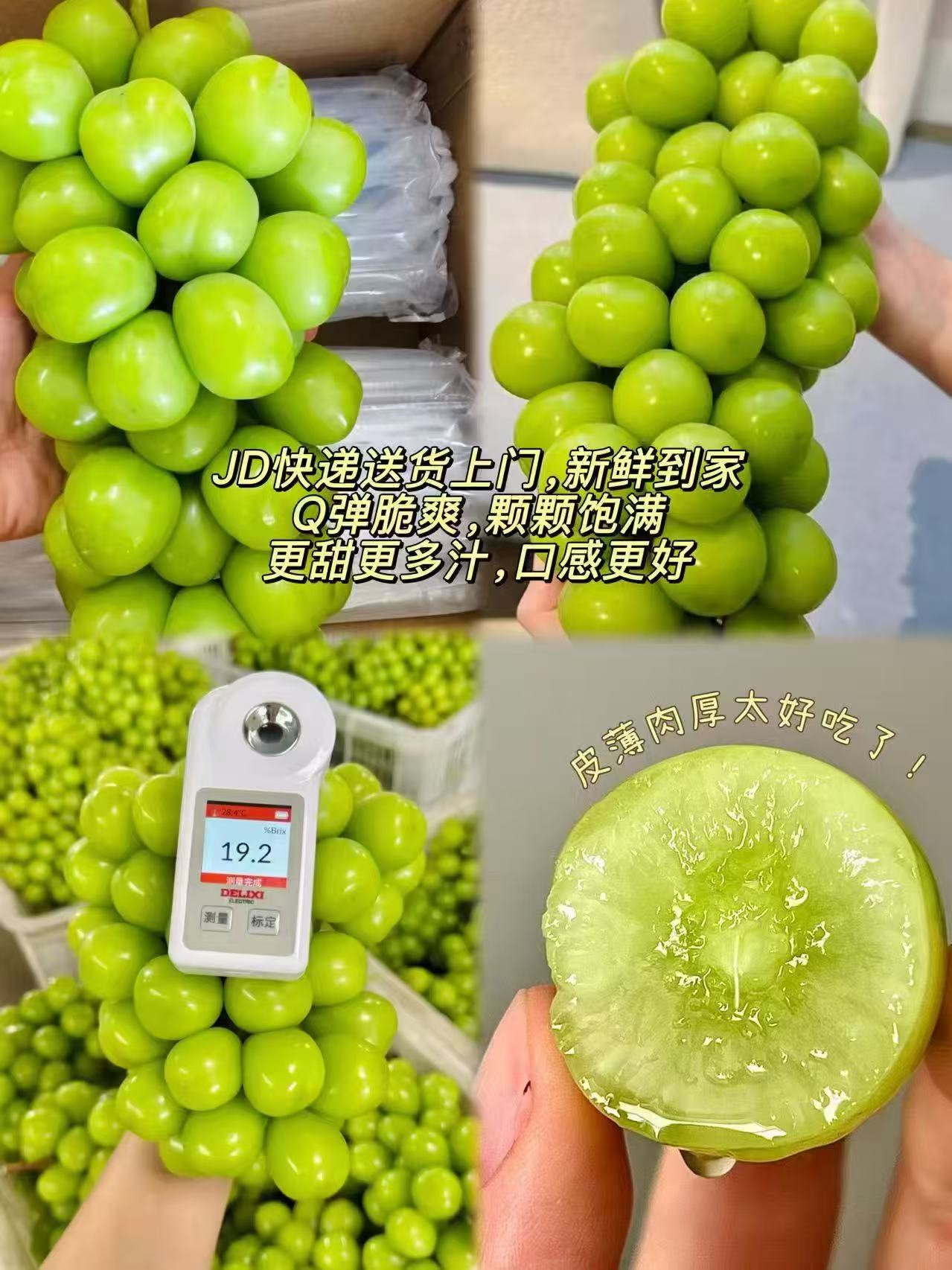 京鲜生云南秋天脆提子1斤礼盒装 29.9元 - 86线报 京鲜生云南秋天脆提子1斤礼盒装 29.9元 - 86线报