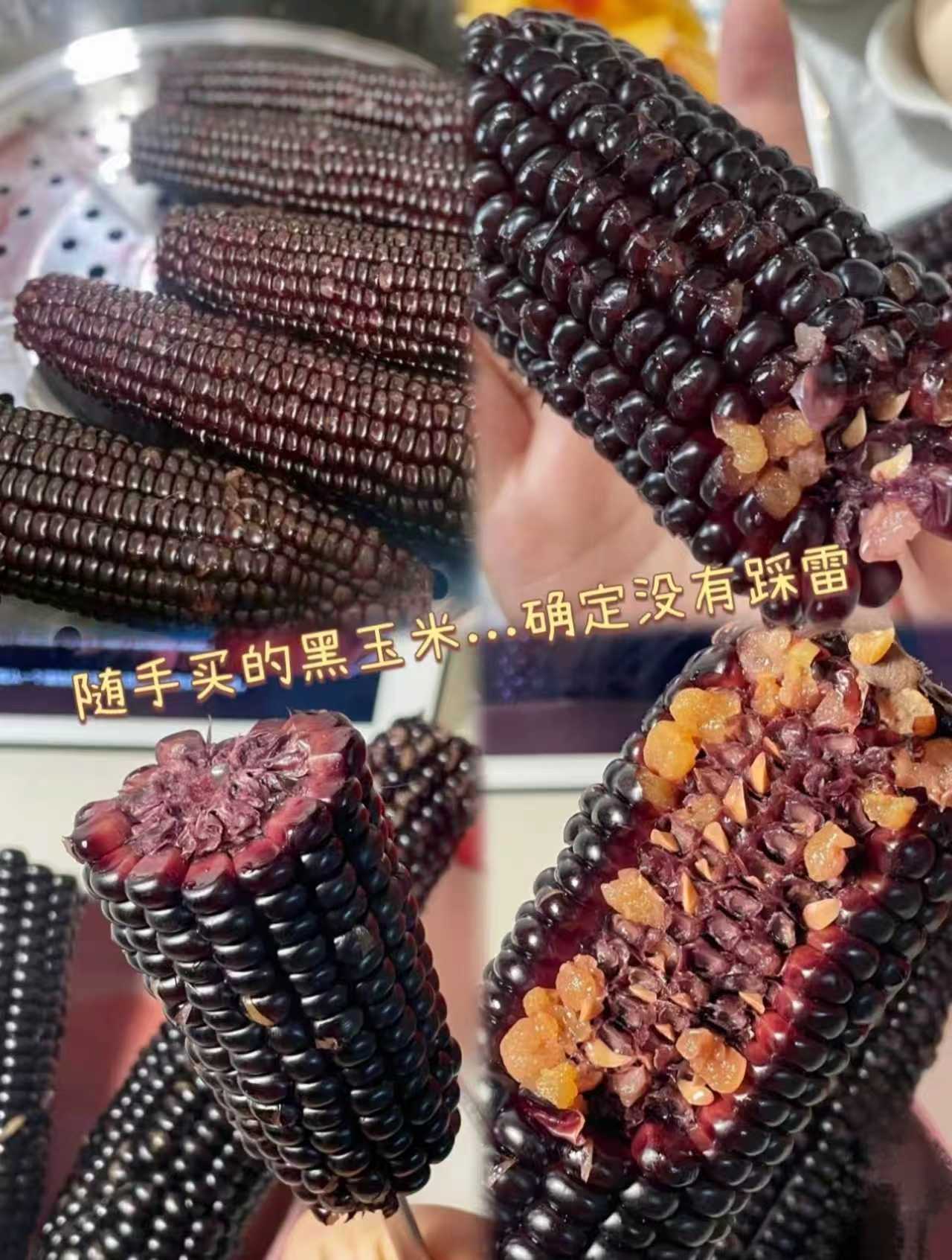 世纪德力黑糯玉米280g×8大根共2240g 15.6元 - 86线报 世纪德力黑糯玉米280g×8大根共2240g 15.6元 - 86线报
