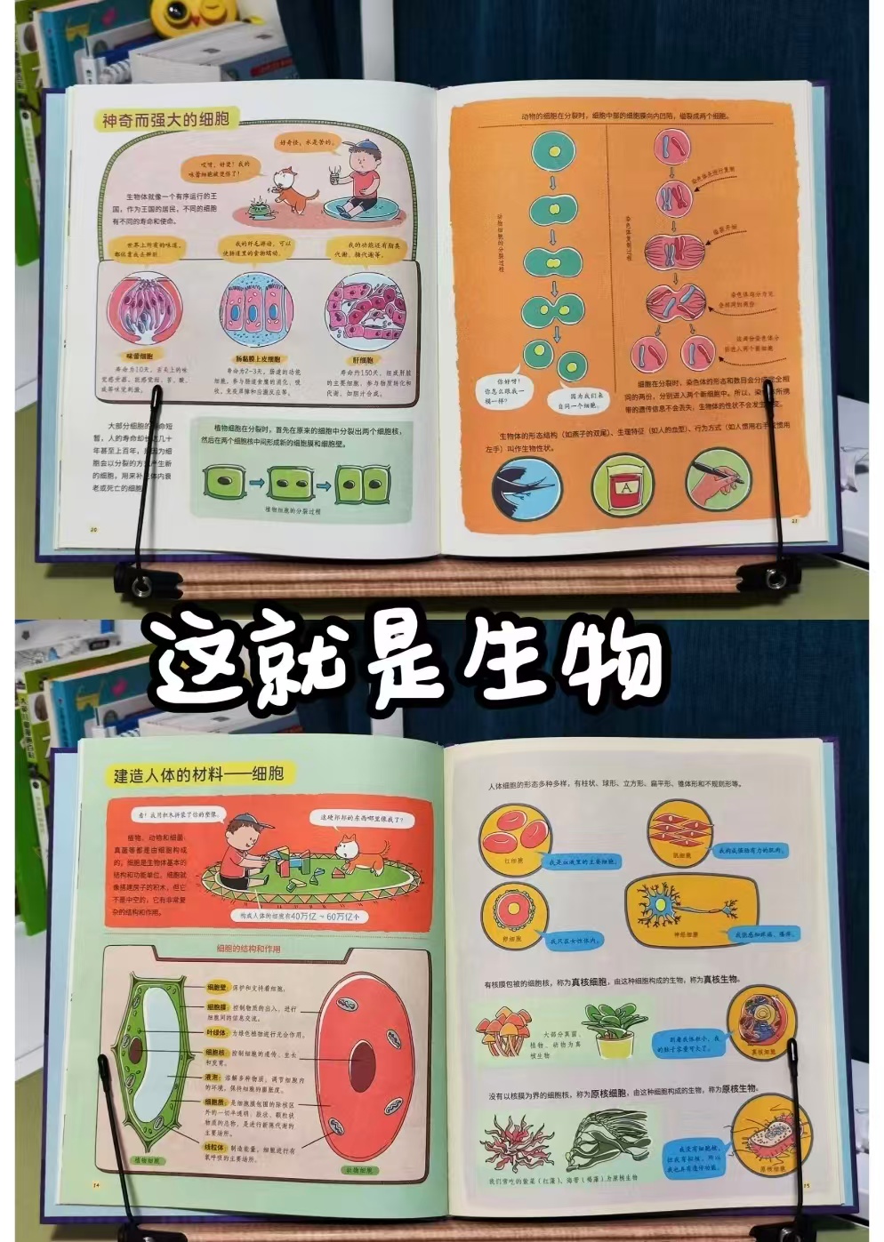 这就是生物 12.4元 - 86线报