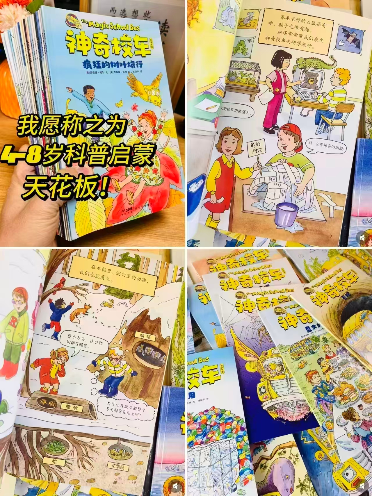 神奇校车大家族全42册图画书注音版12册+桥梁书点读版20册+动画版5册+故事书 - 86线报