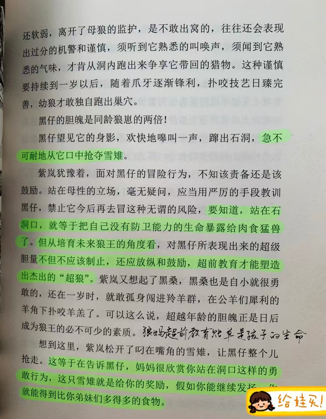 狼王梦沈石溪动物小说 8.9元 - 线报酷